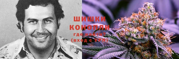 apvp Козловка