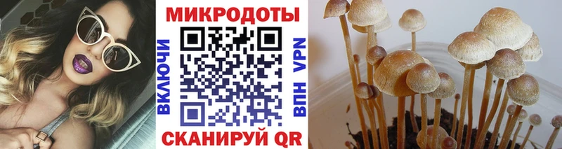 закладка  Скопин  Галлюциногенные грибы прущие грибы 